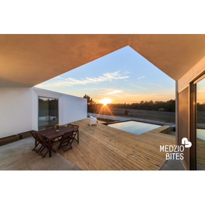 Terasinė maumedžio lenta 