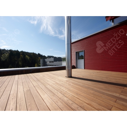 Terasinė termo uosio lenta 