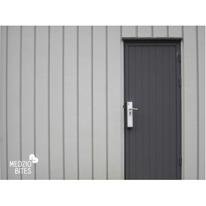 Lauko dailylentė Sweden-1 