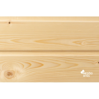 Lauko dailylentė Baltic-2 