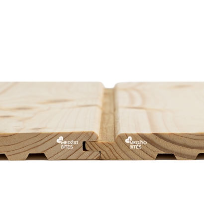 Lauko dailylentė UTP1 