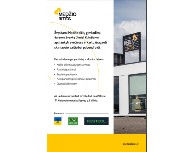 Kviečiame į Meistro dieną! 