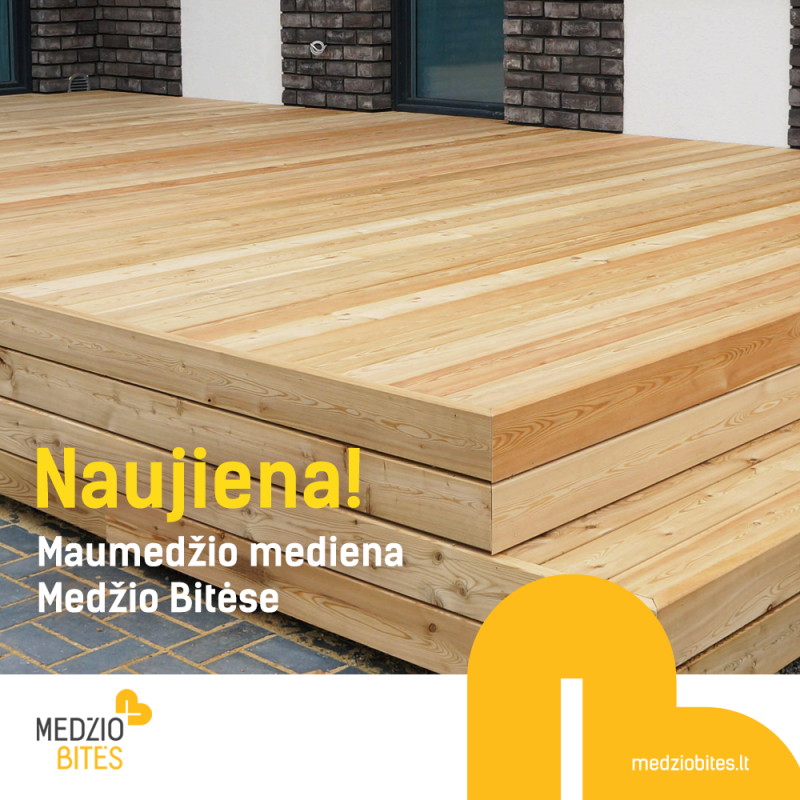 Maumedžio mediena jau Medžio Bitėse Maumedžio mediena jau Medžio Bitėse