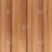 Termo dailylentė MAGDĖ 19x92x4200